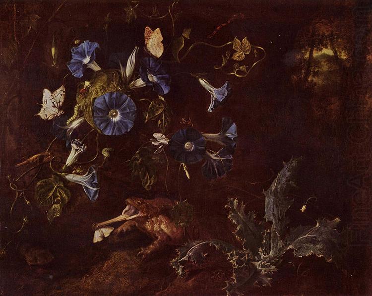 Blaue Winde Kroe und Insekten, SCHRIECK, Otto Marseus van